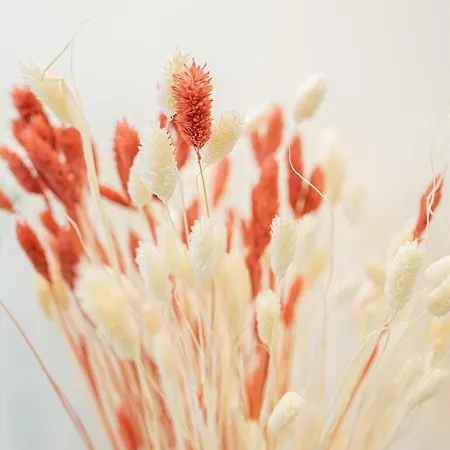 Park View Old Town Апартаменти *