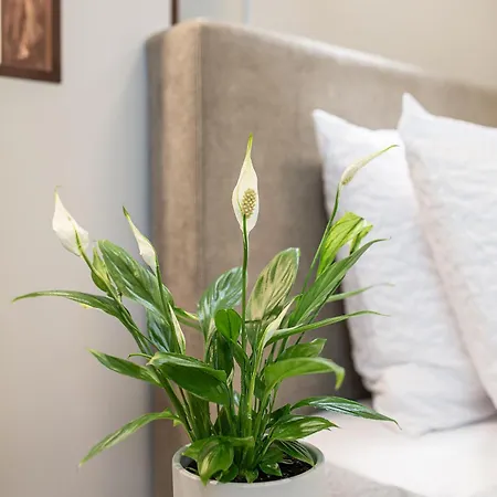 Park View Old Town * Рига