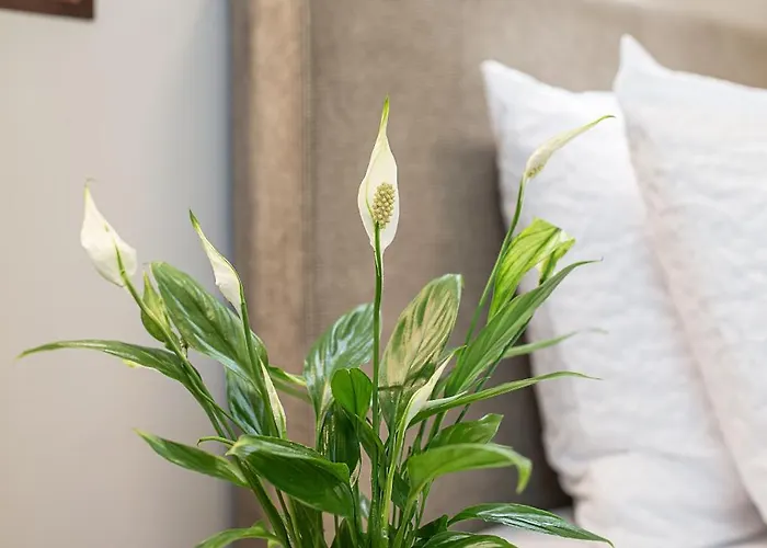 Park View Old Town * Рига