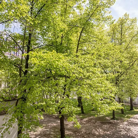 Park View Old Town Apartment
