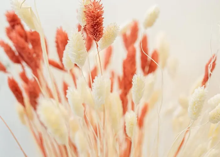 Park View Old Town Apartment *