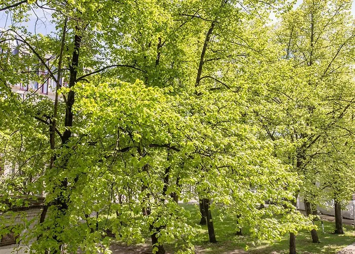 Park View Old Town Apartment